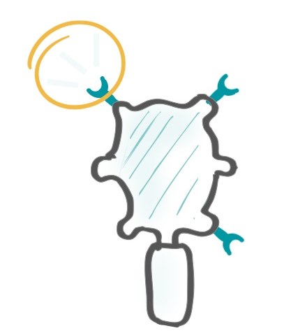 Werking medicatie op nicotinebehoefte hersenen roker